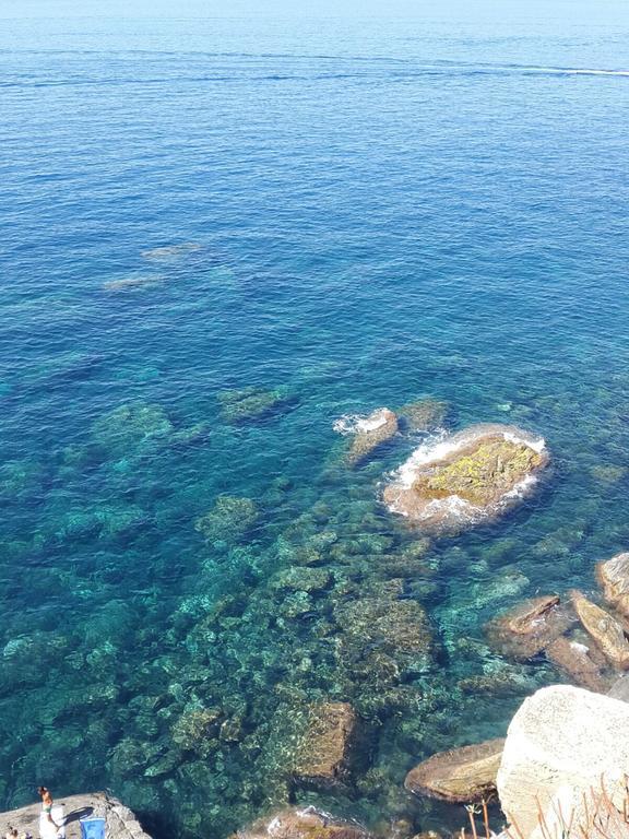 La Casa Del Gallerista Μαναρόλα Εξωτερικό φωτογραφία